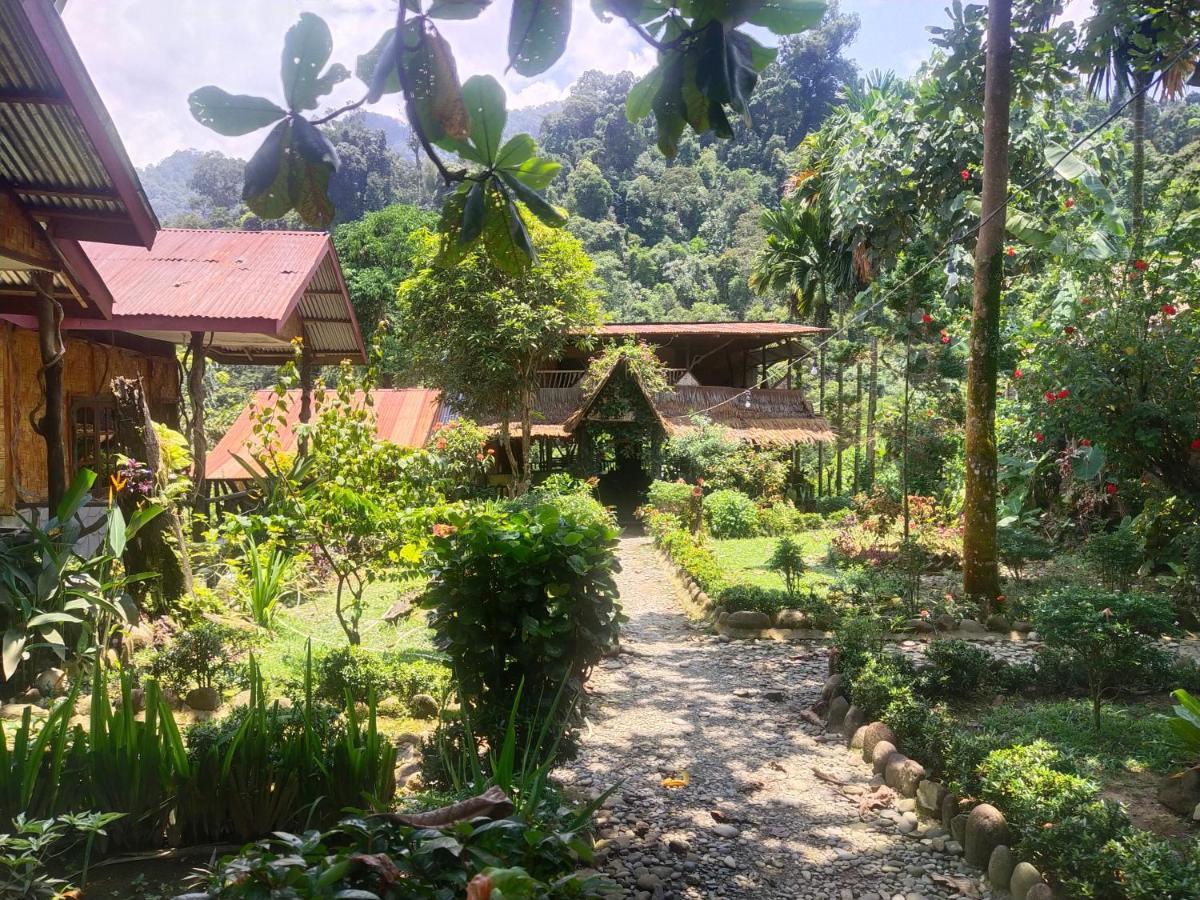 Mountain View Cottages & Villa Tangkahan Extérieur photo