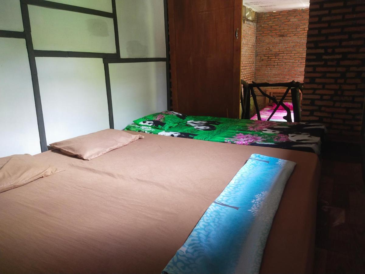 Mountain View Cottages & Villa Tangkahan Extérieur photo