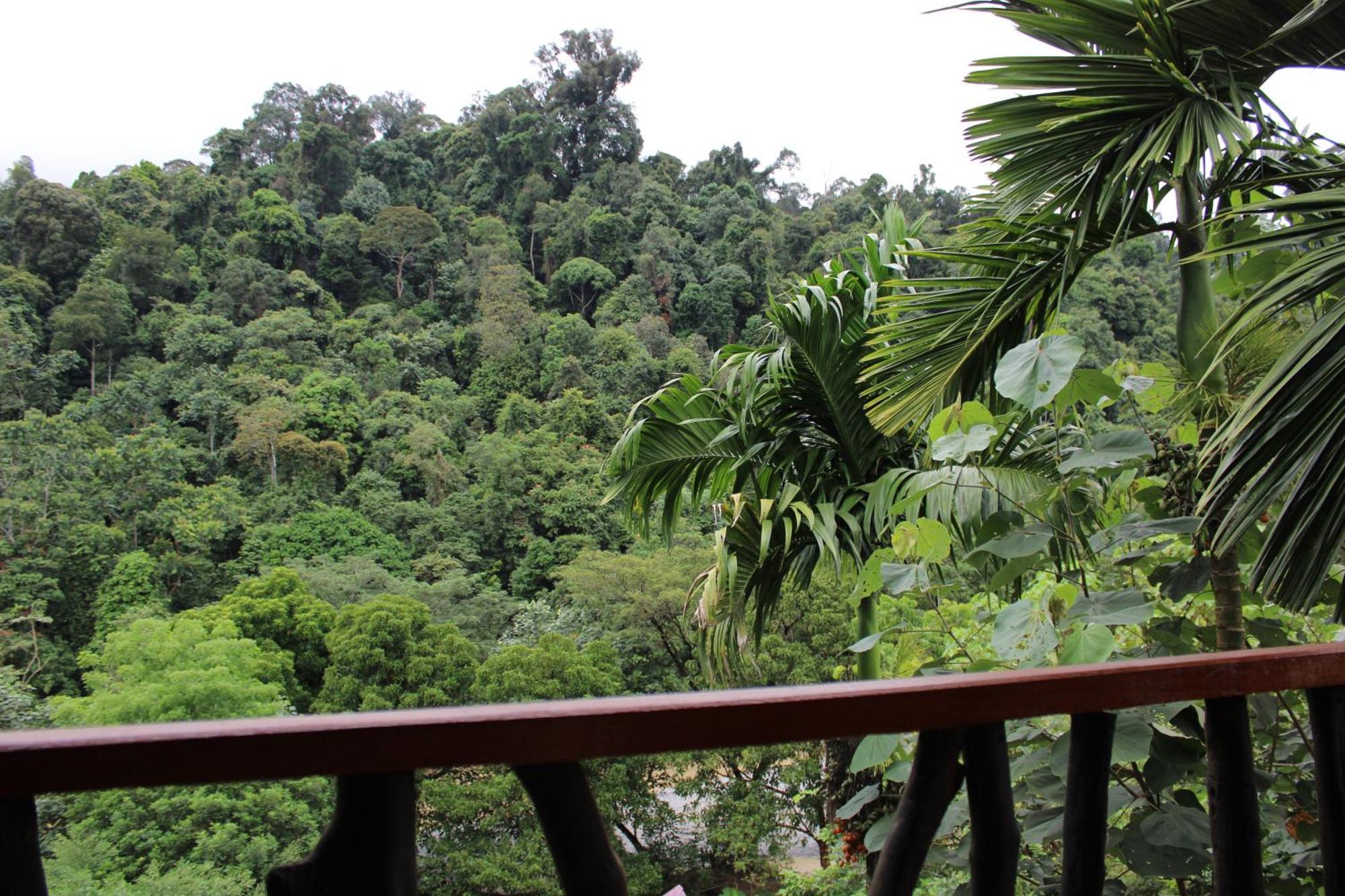 Mountain View Cottages & Villa Tangkahan Extérieur photo