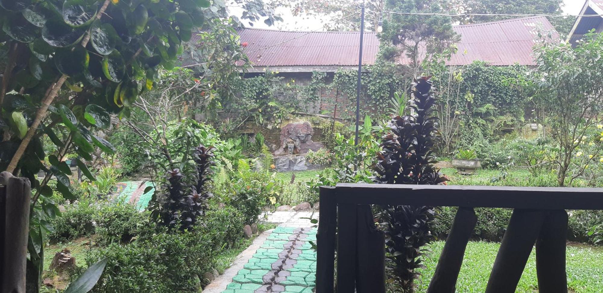 Mountain View Cottages & Villa Tangkahan Extérieur photo