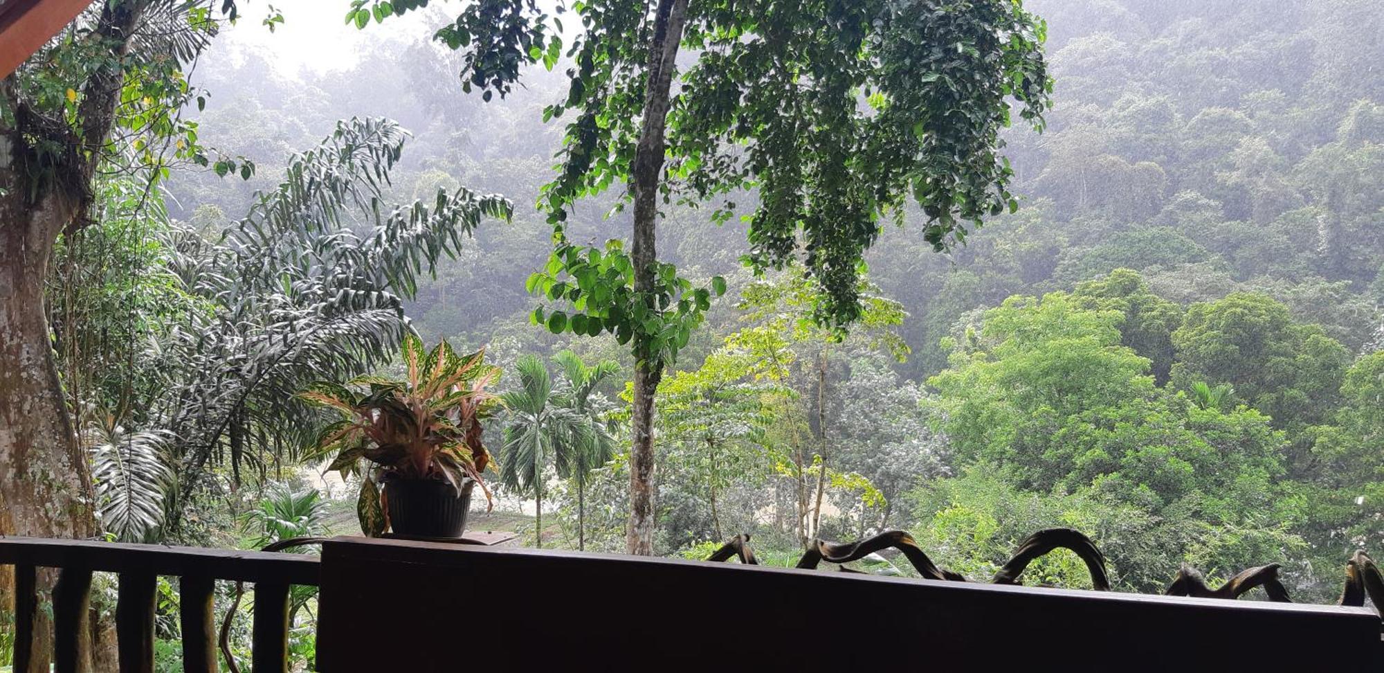Mountain View Cottages & Villa Tangkahan Extérieur photo