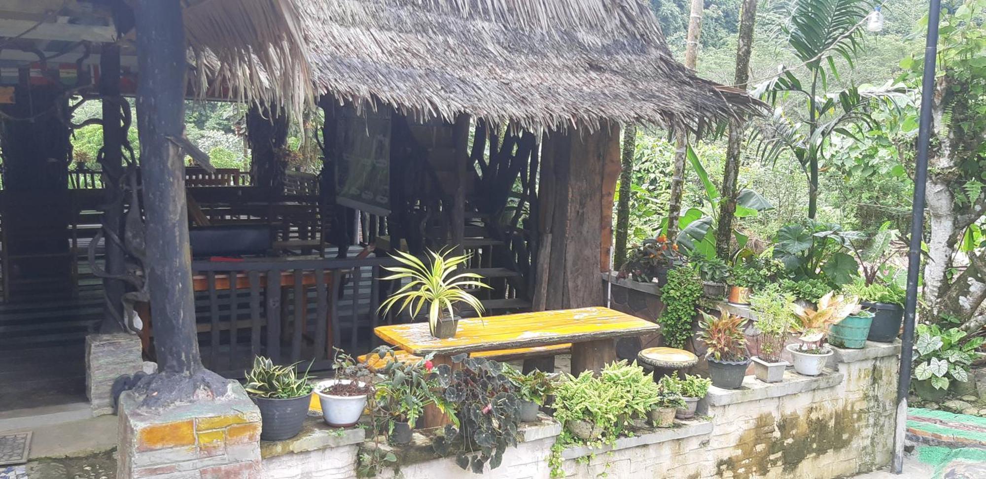 Mountain View Cottages & Villa Tangkahan Extérieur photo