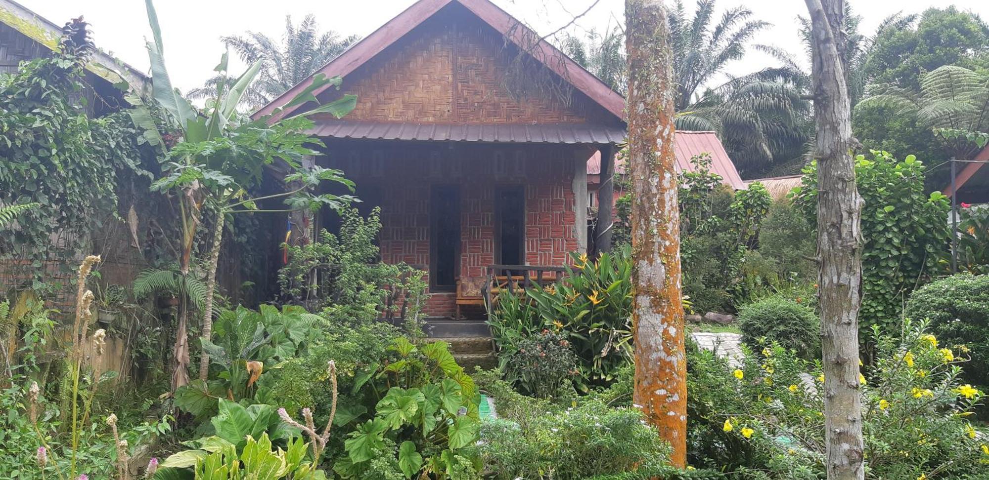 Mountain View Cottages & Villa Tangkahan Extérieur photo