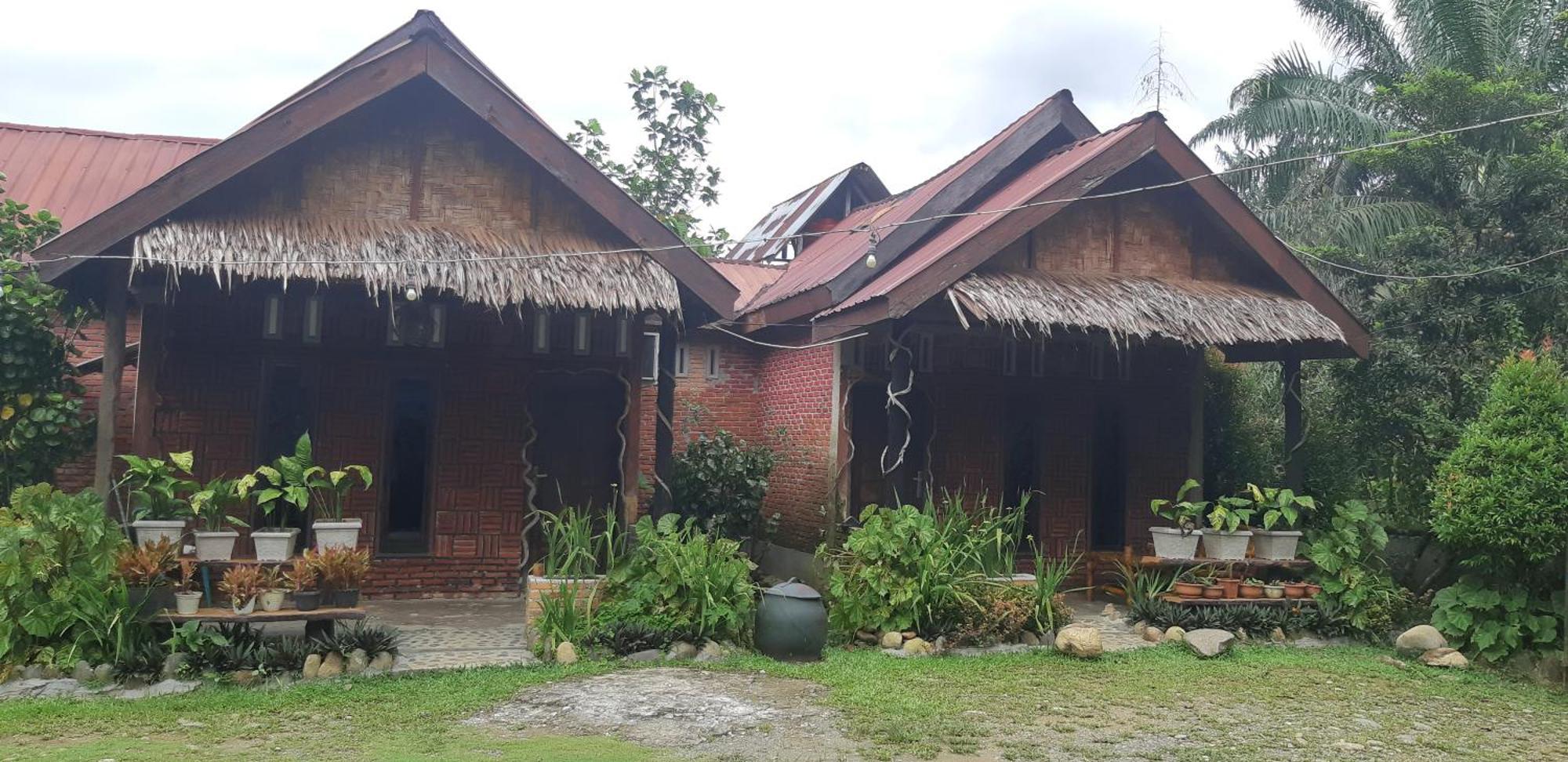 Mountain View Cottages & Villa Tangkahan Extérieur photo